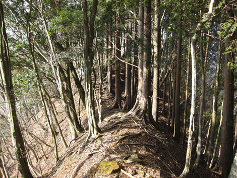 20190205hike (186)